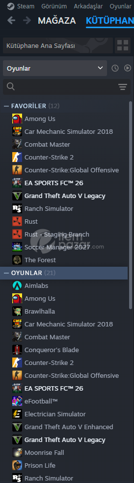 7 YILLIK STEAM HESABIM SATIYORUM