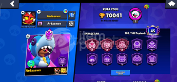 70 k kupa 254 kostüm 45 prestij hesap