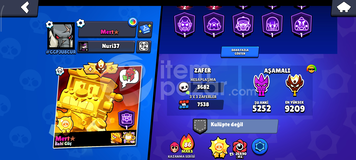 91K 2X Old Master Mactherino Pinli Hesap