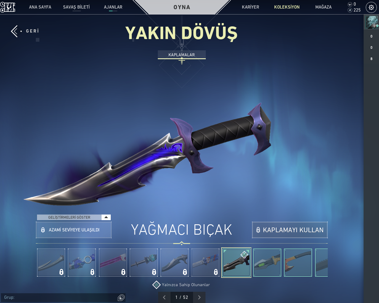 ASİL VANDAL YAĞMACI BIÇ IŞIK MUHAFIZI VANDAL