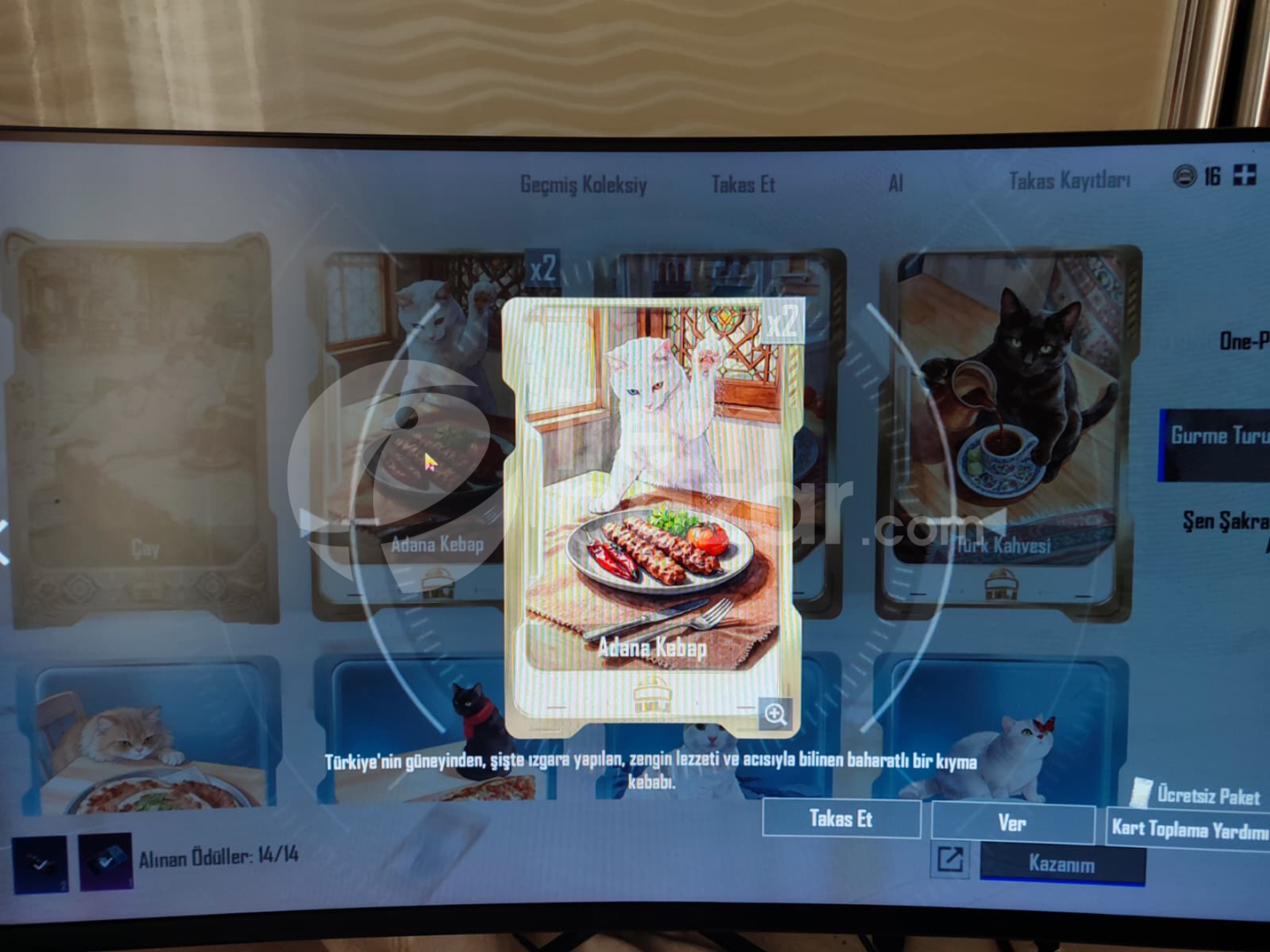 ADANA kebab kartı stokta 2 adet