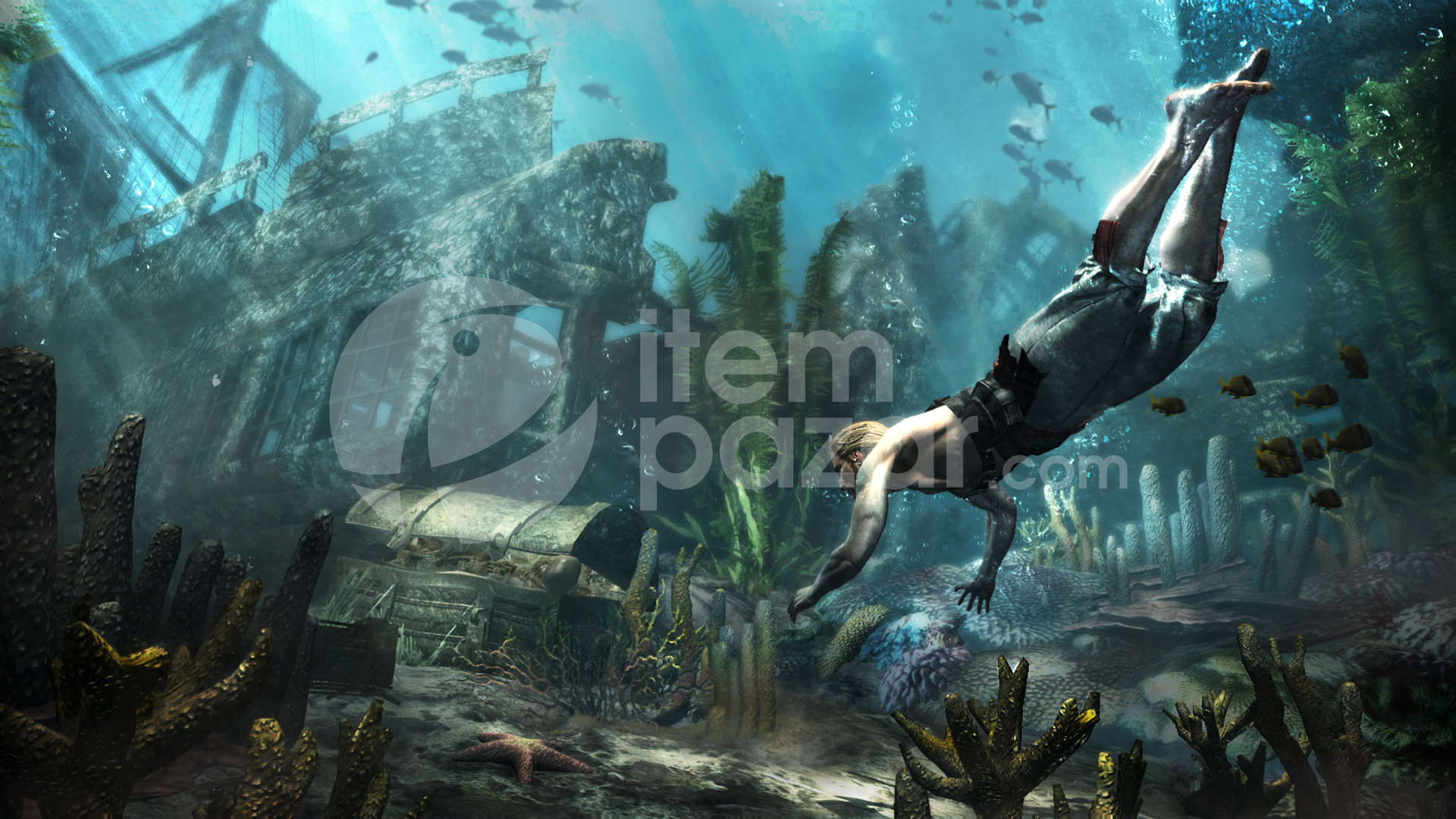 Assassins Creed Black Flag Gold Edition