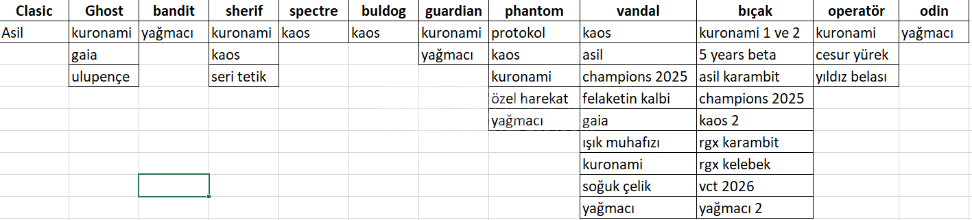 Bol Skinli Valorant Hesabı