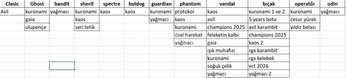 Bol Skinli Valorant Hesabı