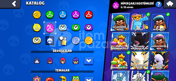 Brawlstars hesap +73.000 kupa