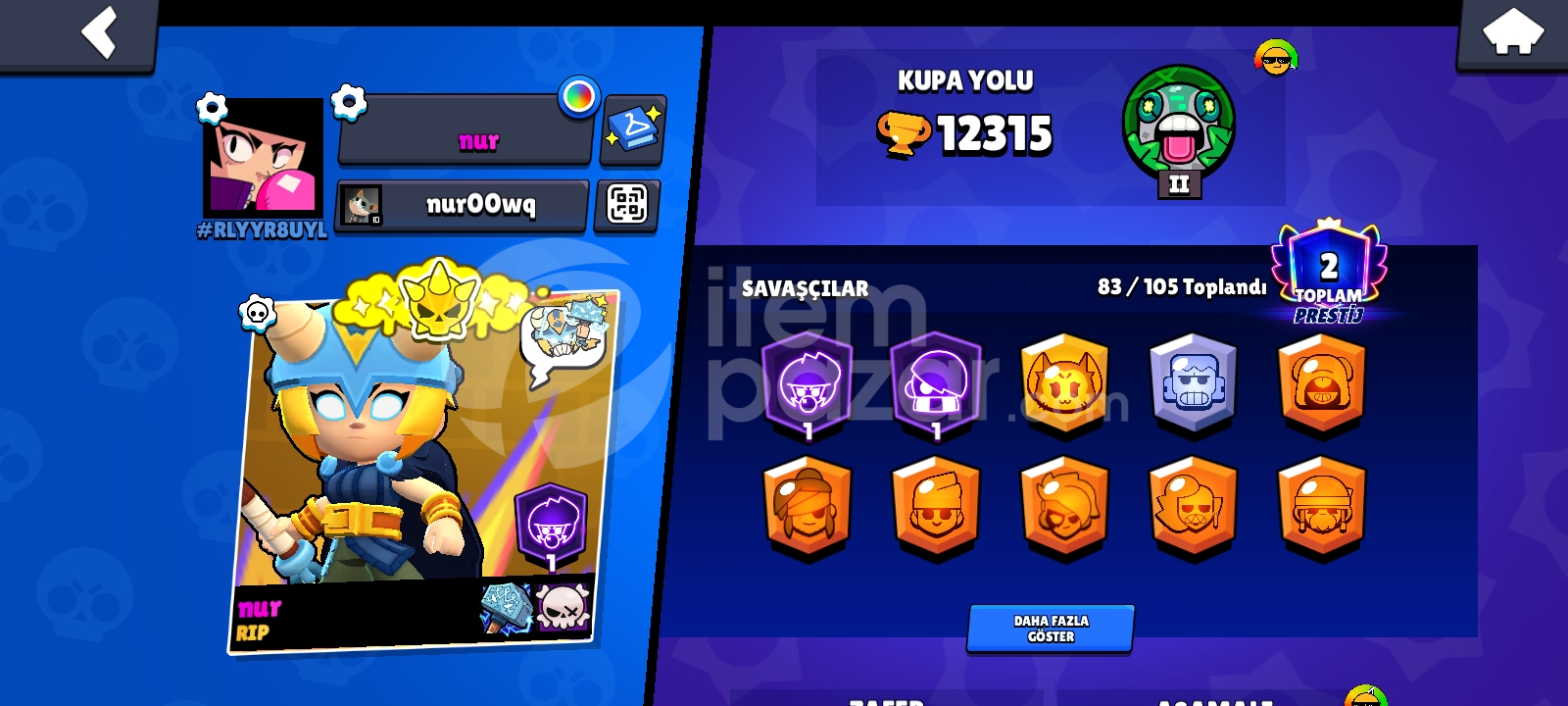 Brawlstars passplus 83 karakter + 51 sv hayday