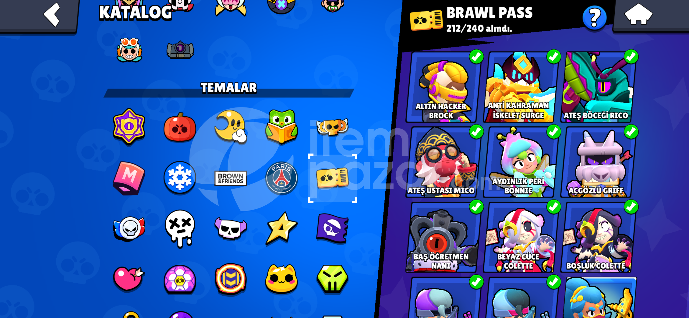 Bs hesabı