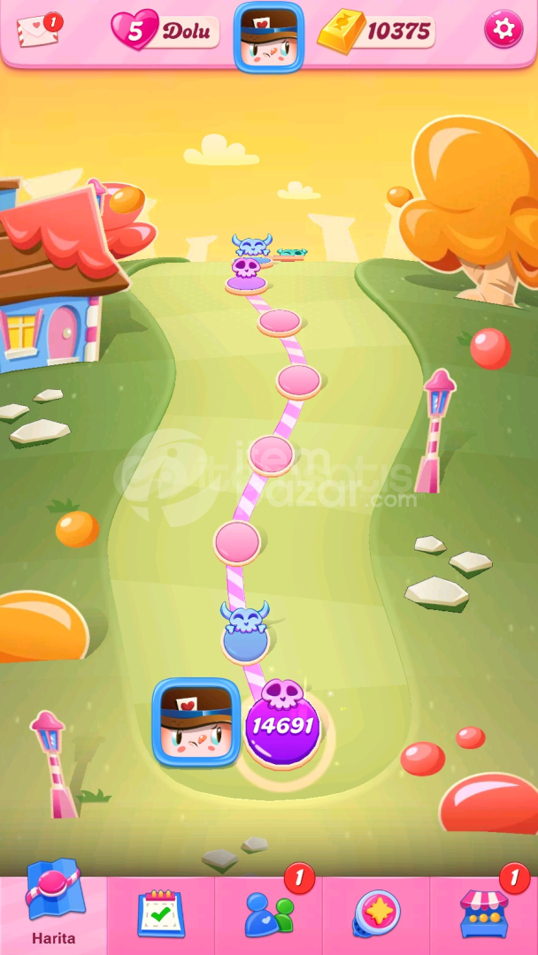 Candy Crush Saga | 14691 Level Hesap | Resimli