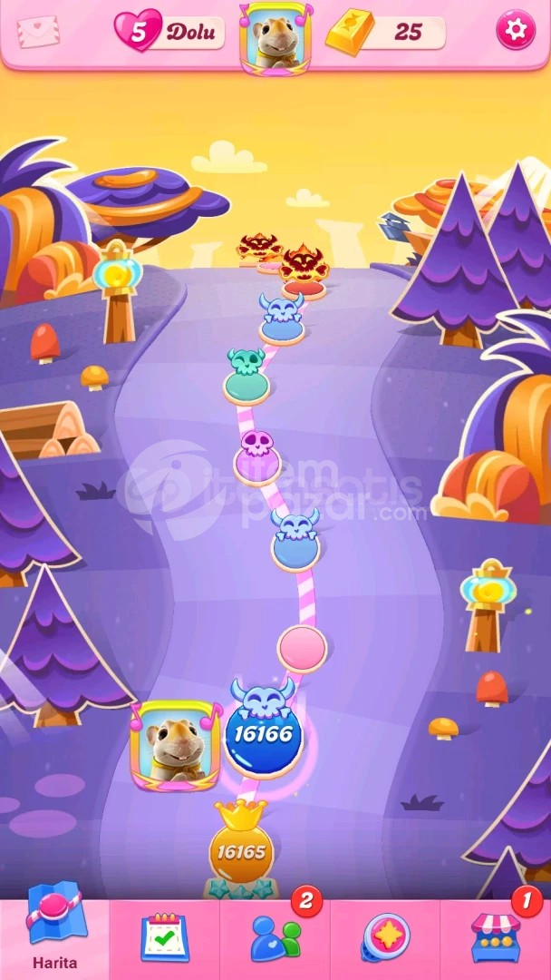 Candy Crush Saga | 16166 Level Hesap | Resimli