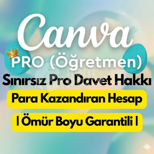 Canva Pro for 500 people