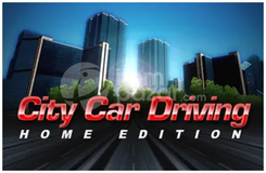 City Car Driving