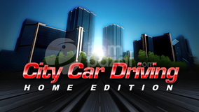 City Car Driving + Garanti