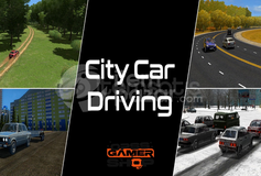 City Car Driving | Mail Değişen
