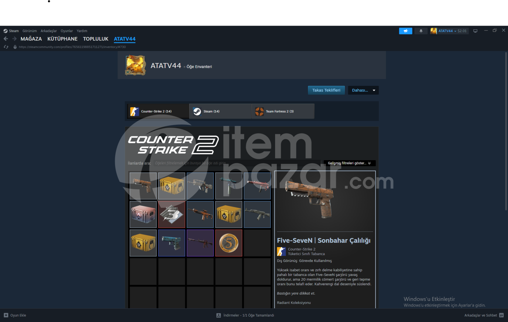 counter-strike 2 prime hesap