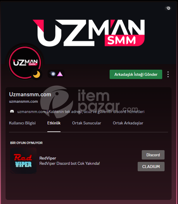 Custom Discord RPC