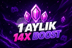 DİSCORD 1 AYLIK 14X BOOST