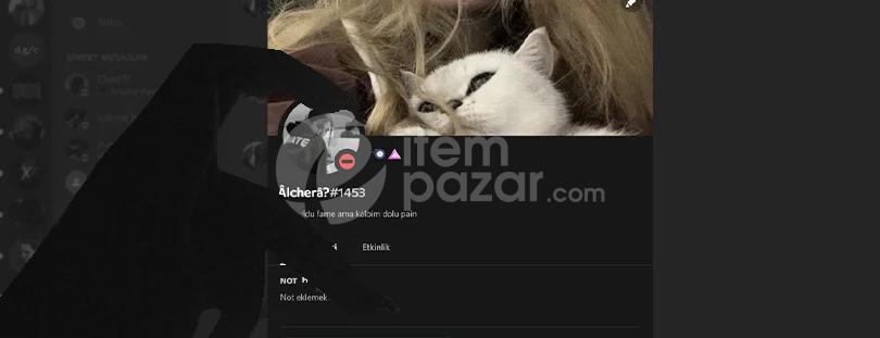 Discord Banner #2