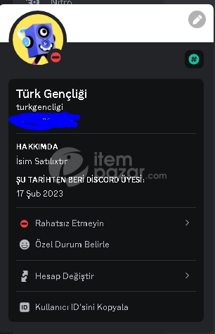 [İTEMPAZARDA TEK] Discord Random Hesap