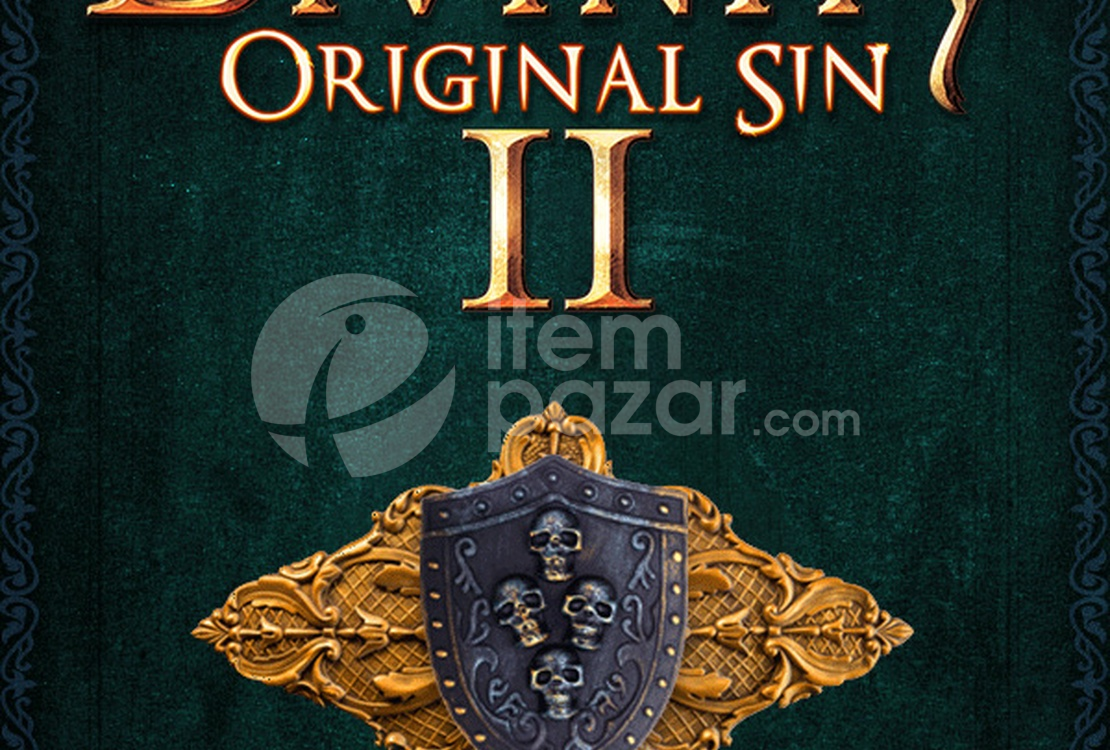 Divinity: Original Sin 2