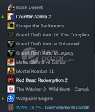 İLK MAİLLİ CS2 SEÇKİN (900s) + RDR2 & GTA V
