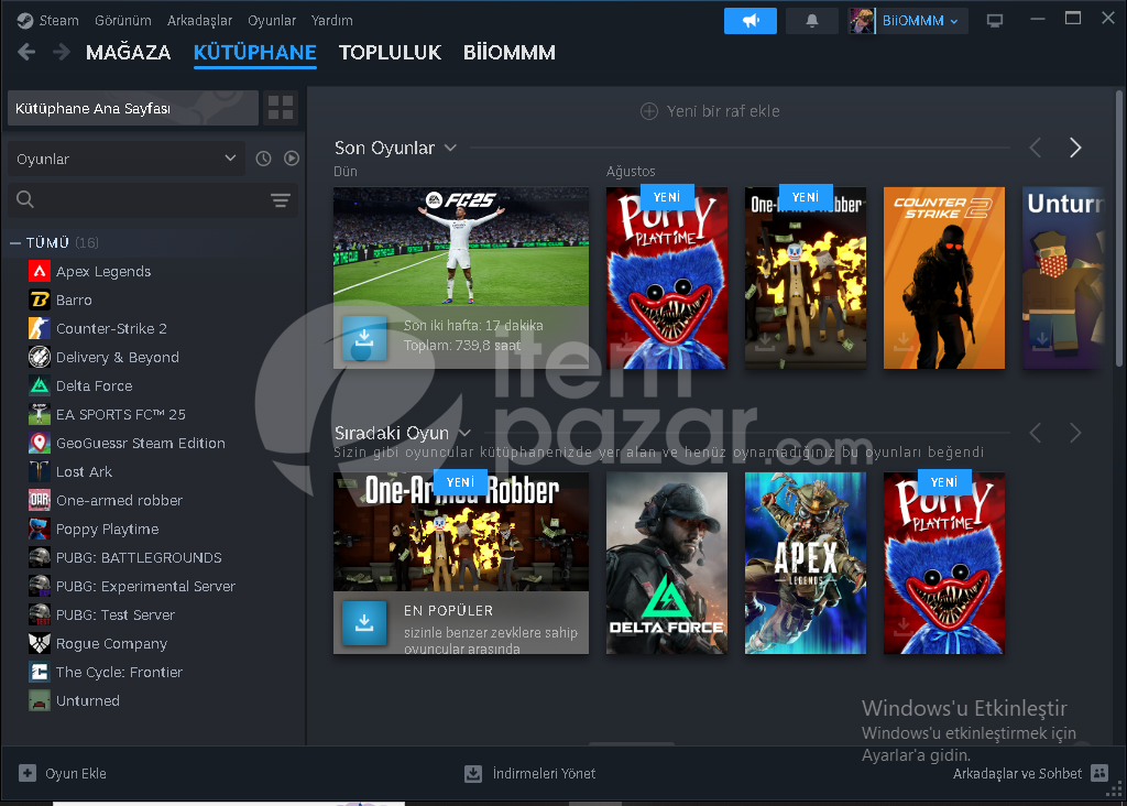 EA Sports FC 25 steam hesap