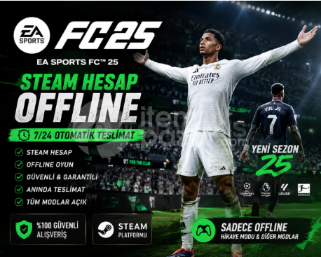 EA Sports FC 25 steam hesap