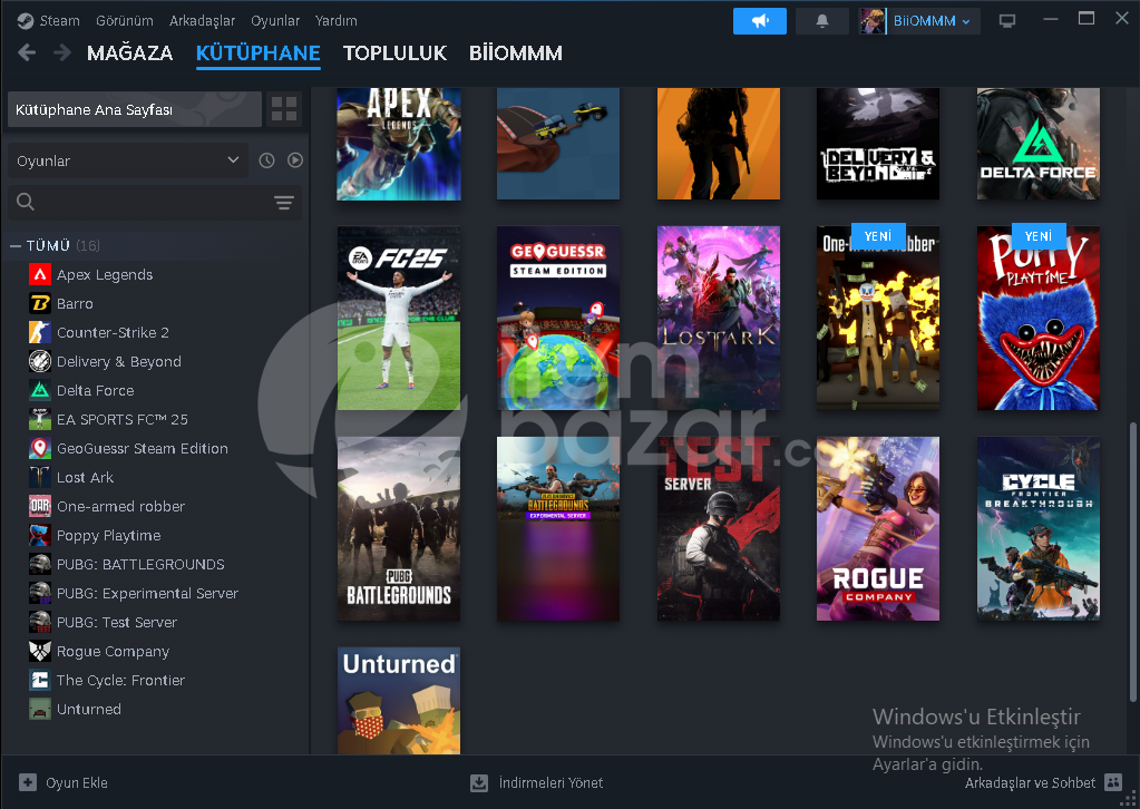 EA Sports FC 25 steam hesap