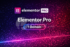 Elementor Pro 1 Yıllık Domain
