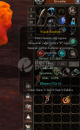 ELİT FULL ORAN TİP 6 PET