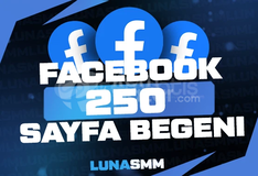 [Facebook] 250 Sayfa Beğeni