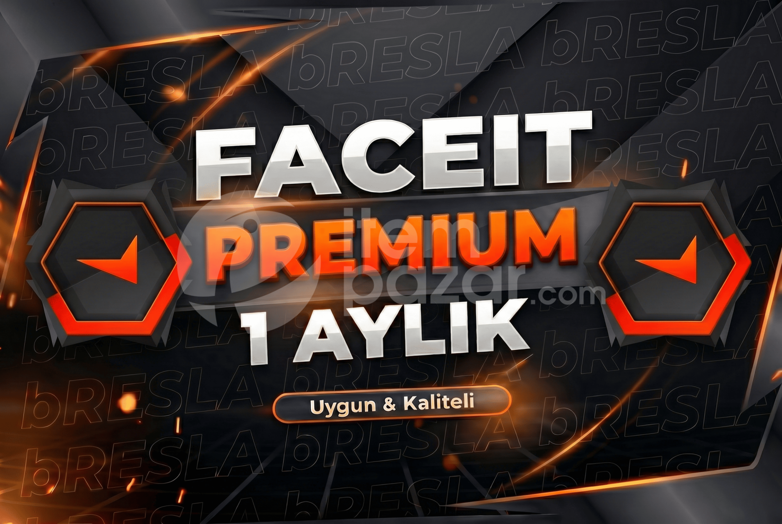 ⭐ Faceit PREMIUM ⚡1 Aylık 