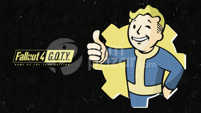 Fallout 4 Game of the Year Edition + Garanti