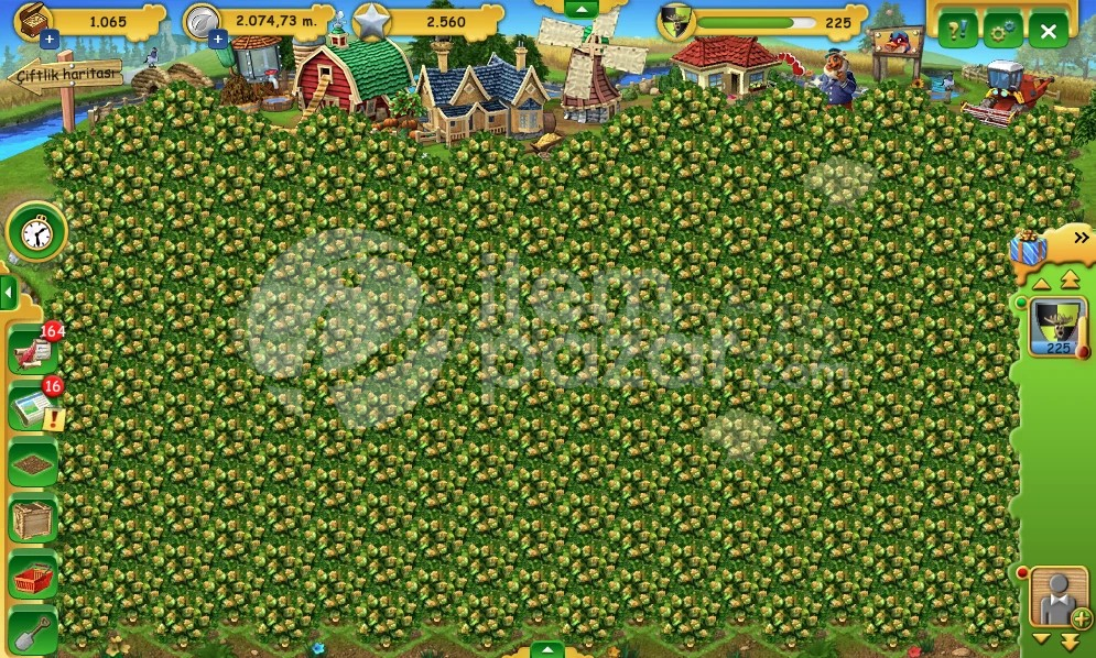Farmerama | 225 Level | Çiftlik Hesabı | Resim