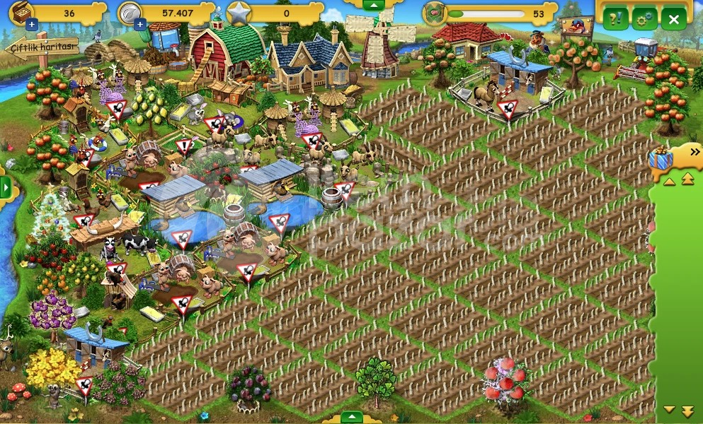 Farmerama | 53 Level | Çiftlik Hesabı | Resimli