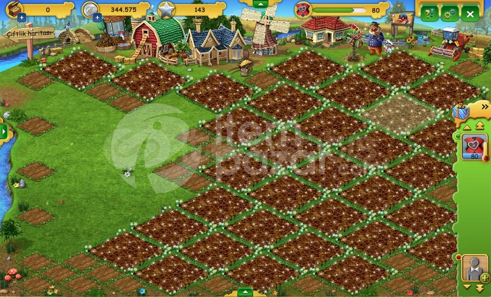 Farmerama | 80 Level | Çiftlik Hesabı | Resimli