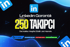 Garantılı - Linkedin 250 Takipçi