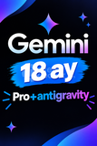 Gemini 18 Ay Pro Maile Davet