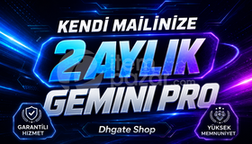 Gemini Pro - 2 Aylık