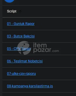 Google Ads Bütçe Koruma & CPV Optimizasyon