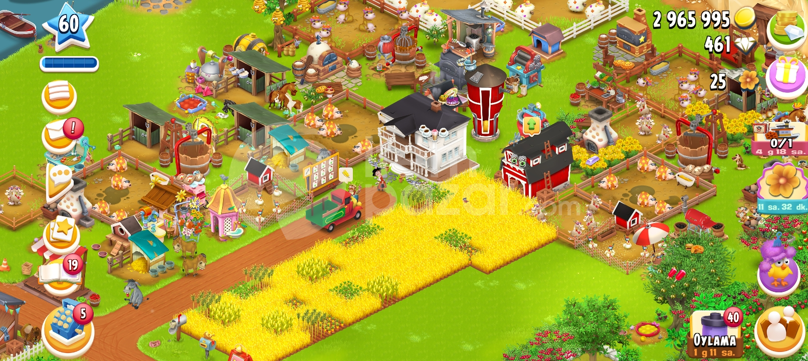 Hay day iyi hesap