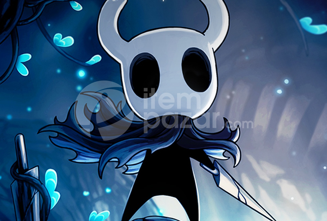 Hollow Knight