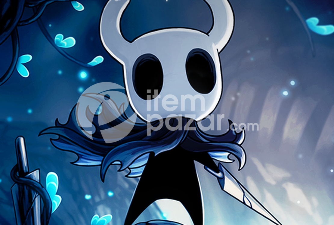Hollow Knight