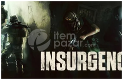 Insurgency
