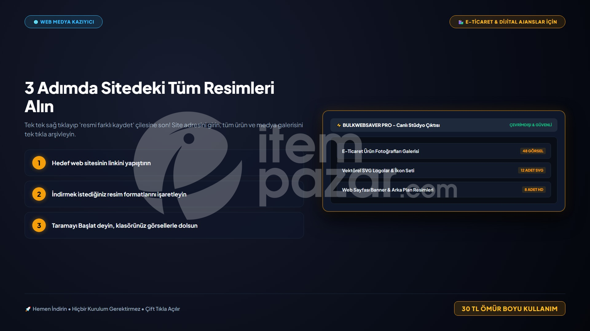 LisansArena BulkWebSaver | Script