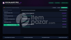 LisansArena SocialAudit | Script