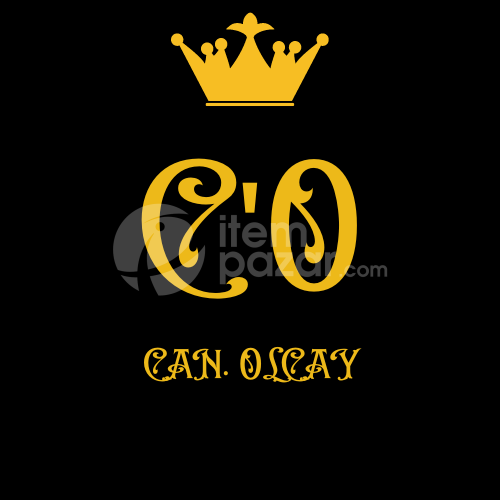 Logo Yapımı