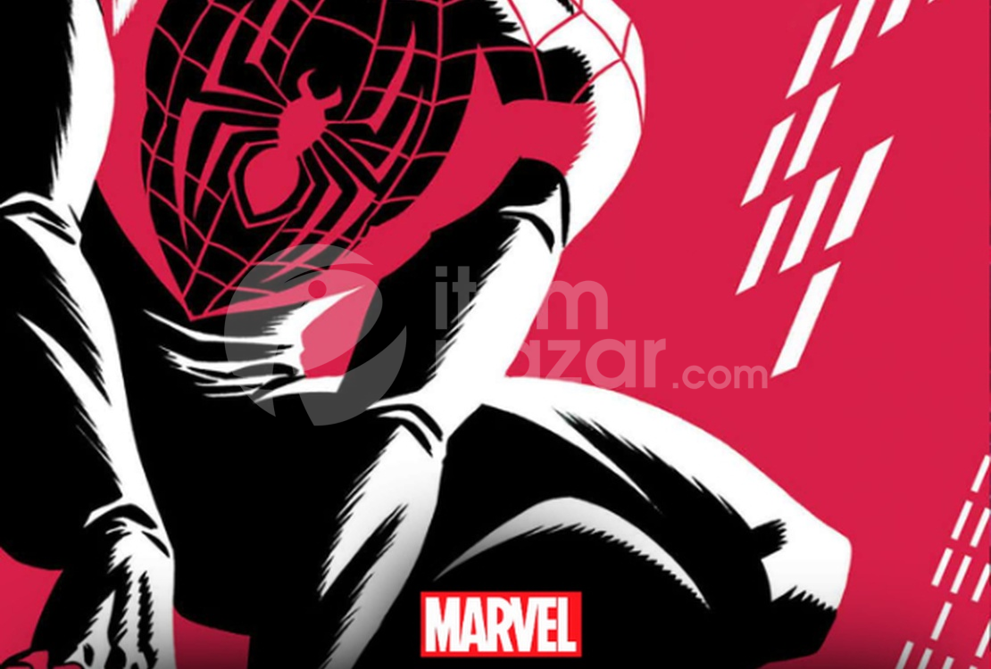 Marvel's Spider-Man Miles Morales
