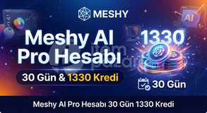Meshy AI Pro Hesabı 30 Gün 1330 Kredi