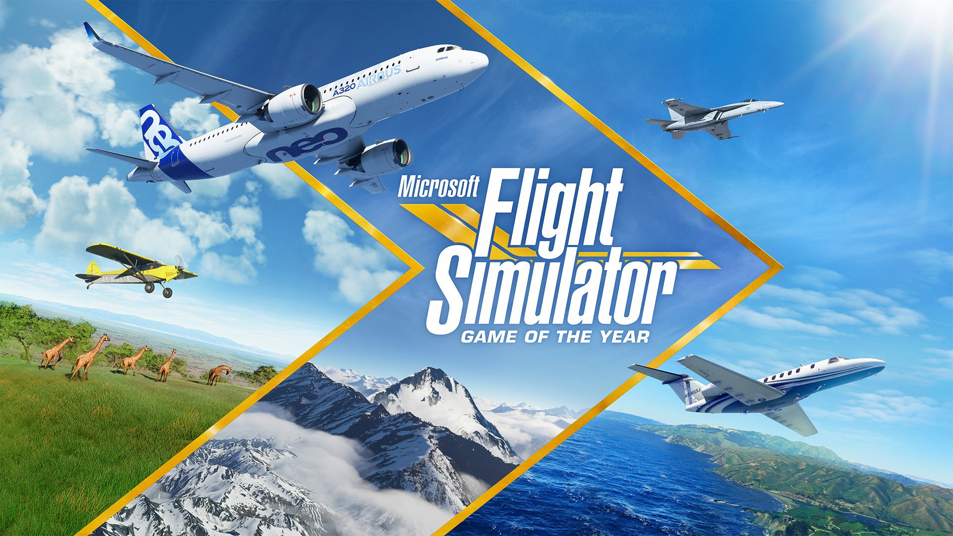 Microsoft Flight Simulator Deluxe Online!