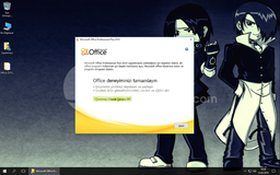 Microsoft Office Professional Plus VL 2010